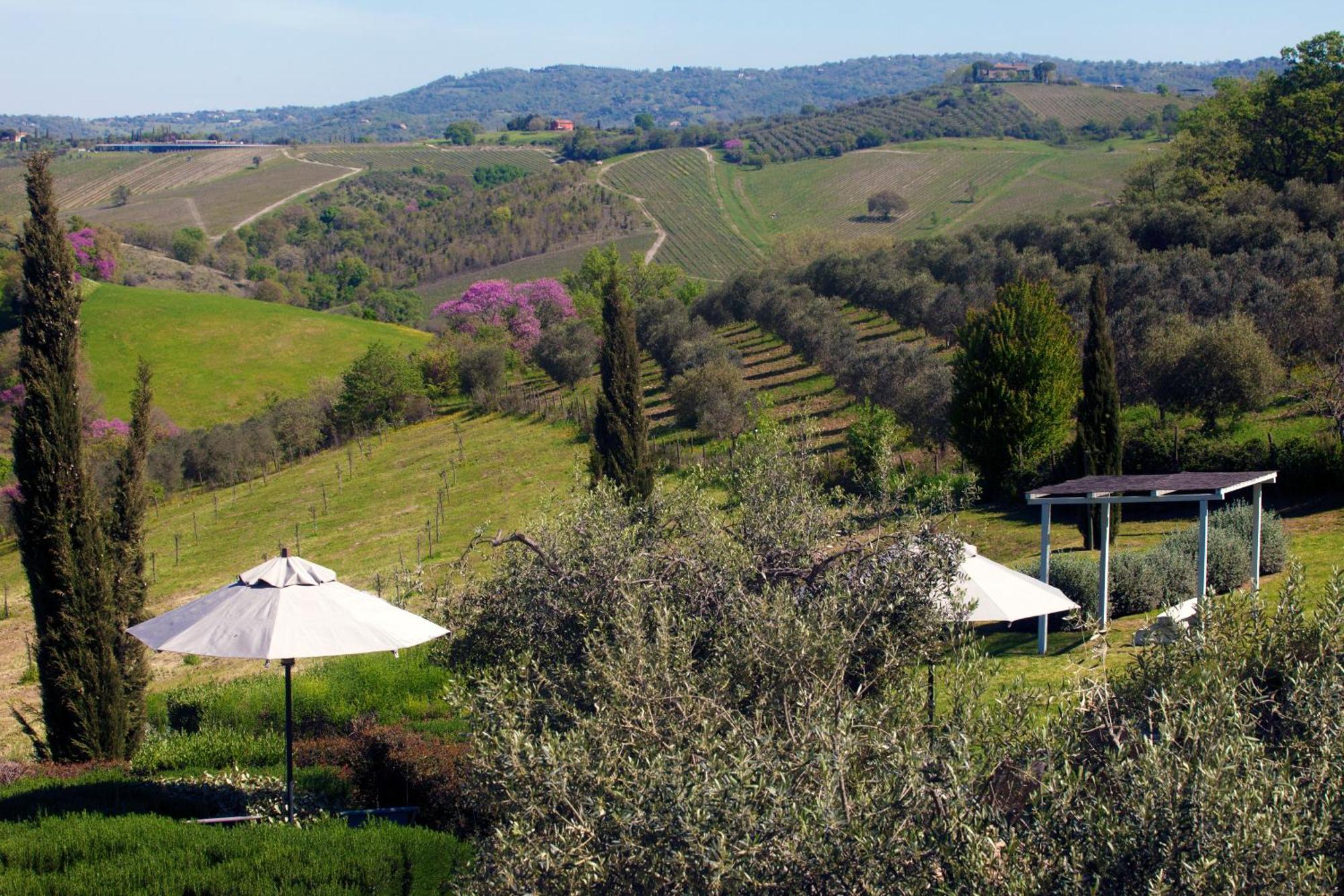 Casale Sterpeti Bed & Breakfast Magliano in Toscana Exterior photo