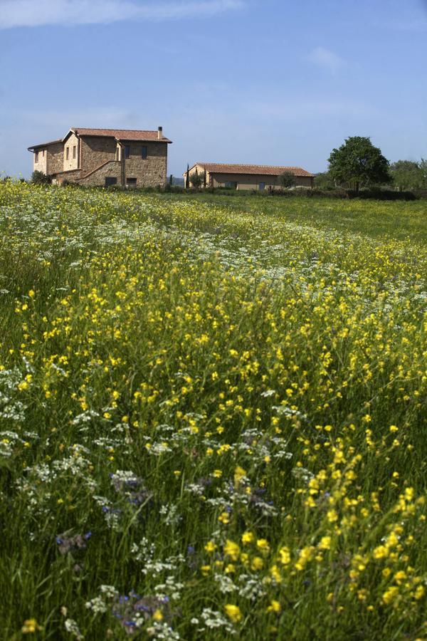 Casale Sterpeti Bed & Breakfast Magliano in Toscana Exterior photo